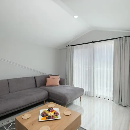 Roombnb 费特希耶